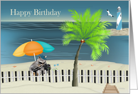 Birthday with a Raccoon Holding a Camera under a Beach Umbrella card