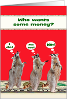 Money Enclosed Any Occasion Card with Raccoons on a Money Floor card