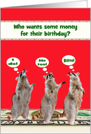 Birthday Money Enclosed Card with Raccoons Standing on a Cash Floor card