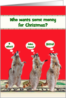 Christmas Money Enclosed Card with Raccoons Standing on a Cash Floor card