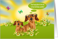 Birthday Age Humor with a Dachshund Wearing Glasses in a Meadow card