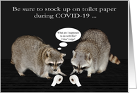 Toilet Paper Humor during COVID-19 with Raccoons with Rolls of TP card