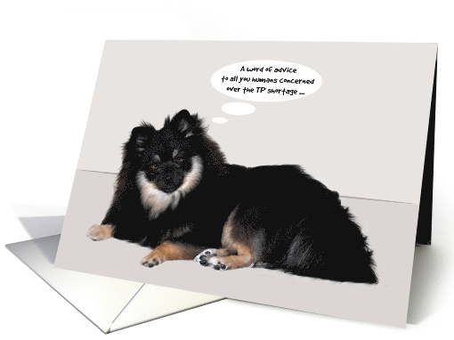 Toilet Paper Shortage Humor during COVID-19 with a Pomeranian card