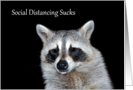 Social Distancing During COVID-19 with Raccoon Sticking Out His Tongue card