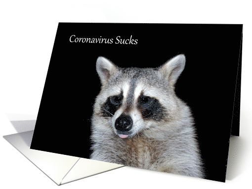 Thinking Of You During COVID-19 with Raccoon Sticking Out... (1611644)