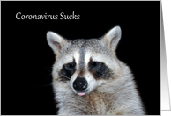 Thinking Of You During COVID-19 with Raccoon Sticking Out His Tongue card