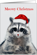 Christmas during Covid 19 with a Raccoon wearing a Cat Mask and Hat card