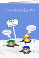 Groundhog Day during Covid 19 with Cute Groundhogs Wearing Masks card