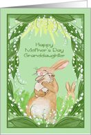 Mother’s Day to Granddaughter with a Bunny Holding Her Cute Baby card