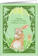 Mother’s Day to Mother in Law with a Bunny Holding Her Cute Baby card