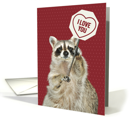 Love and Romance with an Adorable Raccoon Holding a I... (1672452)