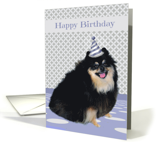 Birthday with a Happy Adorable Pomeranian Wearing a Party Hat card