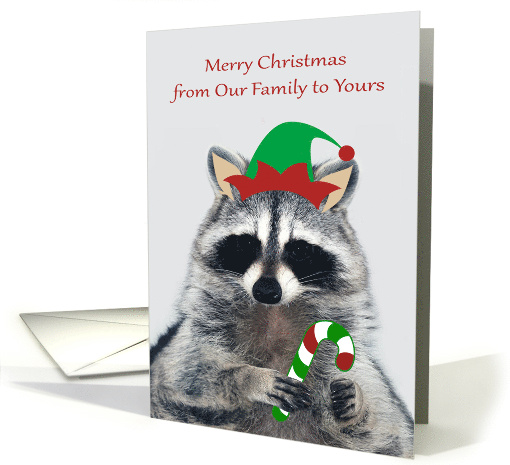 Christmas from Our Family to Yours with an Elf Raccoon... (1691544)