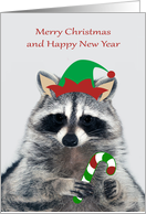 Christmas with an Elf Raccoon Wearing a Hat Holding a Candy Cane card
