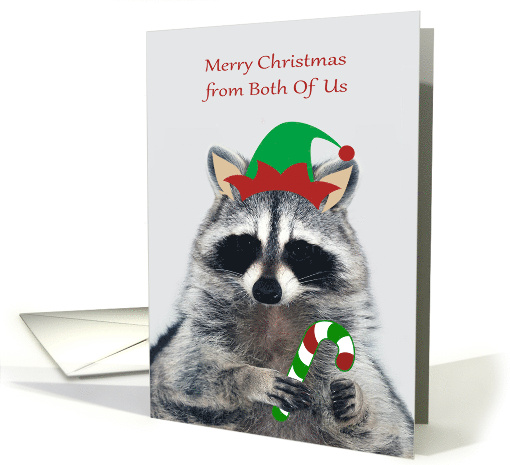 Christmas from Both Of Us with an Elf Raccoon Holding a... (1692724)
