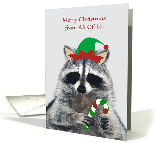 Christmas from All Of Us with an Elf Raccoon Holding a Candy Cane card