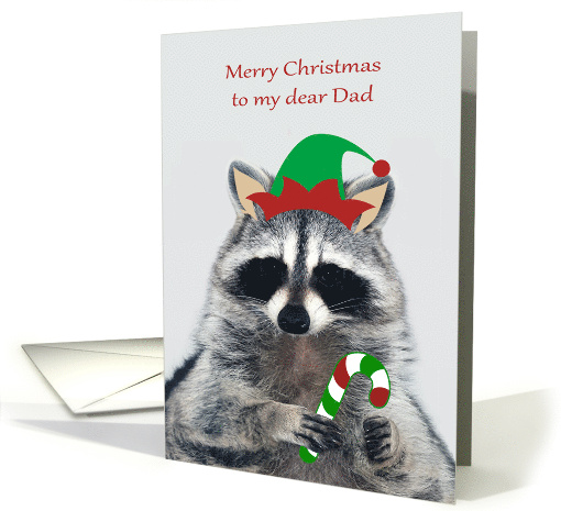 Christmas to Dad with an Elf Raccoon Holding a Candy Cane card
