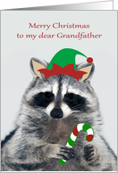 Christmas to Grandfather with an Elf Raccoon Holding a Candy Cane card