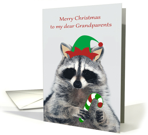Christmas to Grandparents with an Elf Raccoon Holding a... (1696100)