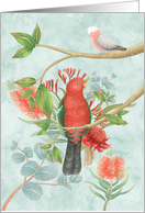 Thinking Of You with Beautiful Australian Birds and Colorful Flowers card