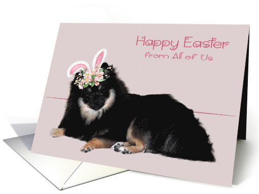 Easter from All Of Us with a Pomeranian Wearing Flowered... (1727702)