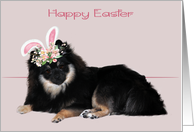 Easter with a Pomeranian Wearing Flowered Bunny Ears card