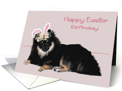 Birthday on Easter with a Pomeranian Wearing Flowered Bunny Ears card
