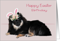 Birthday on Easter with a Pomeranian Wearing Flowered Bunny Ears card
