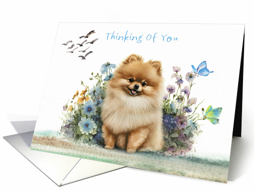 Thinking of You with a Gold Pomeranian Sitting in Flowers... (1763902)