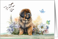 Blank Note Card with a Saint Bernard Sitting in Flowers and Birds card