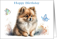 Birthday for a Pomeranian or Dog Lover with a Beautiful Pom card