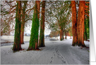 Card for any occasion - Irish Winter Scene - Color Photograph card