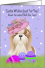 Easter With Little Shih Tzu And Easter Eggs And Easter Bonnet card