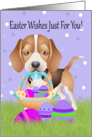 Easter With Little Beagle With Easter Basket And Eggs card