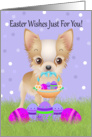 Easter With Little Chihuahua With Easter Basket And Eggs card