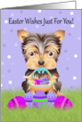 Easter With Little Yorkshire Terrier With Easter Basket And Eggs card