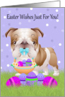 Easter With Little Bulldog With Easter Basket And Eggs card