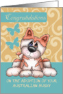 Australian Husky Adoption Congratulations With Brown Australian Husky card