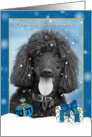 Happy Chanukah Black Oil Painted Poodle With Dradle And Chanukah Gift card
