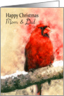 Mom & Dad, watercolor Christmas cardinal bird on a snowy branch card