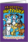 Granddaughter Birthday Celebration Dogs, Lots of dogs card