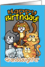 Granddaughter Birthday Celebration Cats, Lots of Cat Variations card