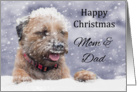 Mom & Dad Border Terrier Dog In The Snow card