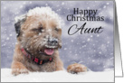 Aunt, Christmas, Border Terrier Dog In The Snow card