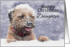 Daughter, Christmas, Border Terrier Dog In The Snow card