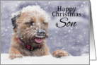 Son, Christmas, Border Terrier Dog In The Snow card