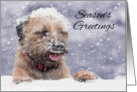 Border Terrier Dog In The Snow, Season’s Greetings card