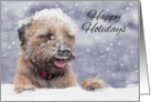 Border Terrier Dog In The Snow, Happy Holidays card