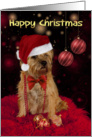 Border Terrier Dog In A Santa Hat Happy Christmas card