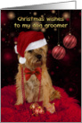 Dog Groomer Border Terrier Dog In A Santa Hat Happy Christmas card